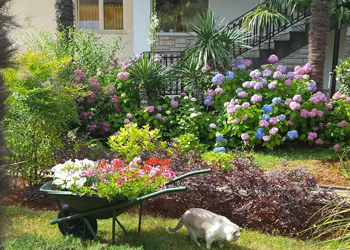 Apartamento Helena Umag