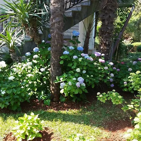 Апартаменты Helena